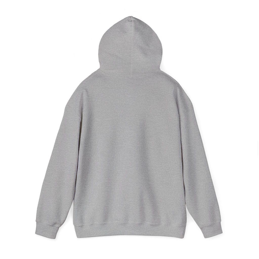 Petty Pretty Hoodie — 'Petty, pretty... Practically perfect' Graphic Sweatshirt