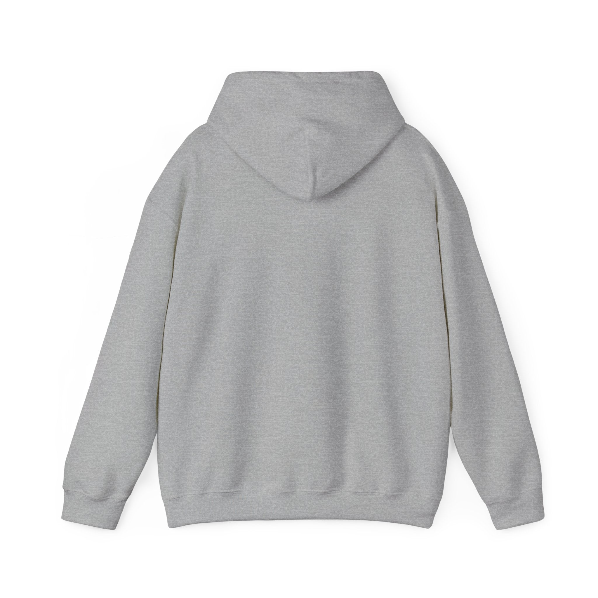 Petty Pretty Hoodie — 'Petty, pretty... Practically perfect' Graphic Sweatshirt